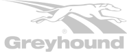 Greyhound