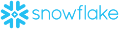 Logo + Wordmark - Blue